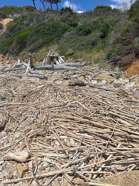 spiaggia stecchi uno 5
