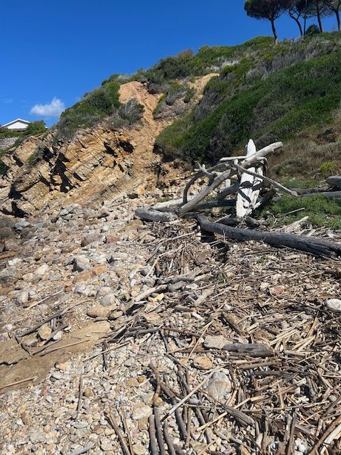 spiaggia stecchi uno 6