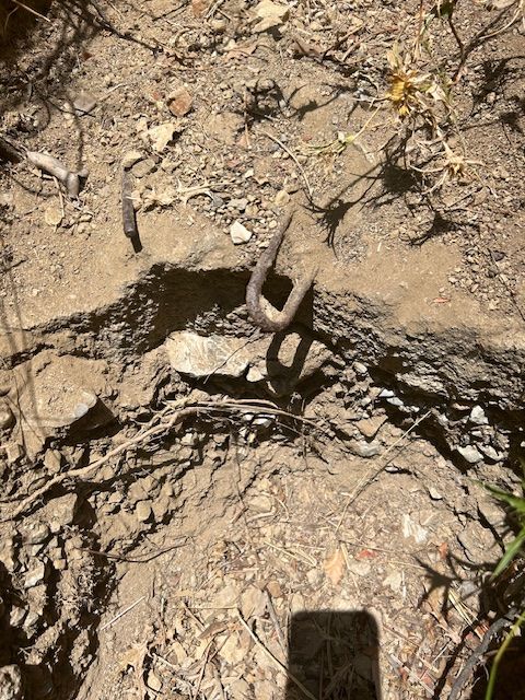 spiaggia stecchi uno 7