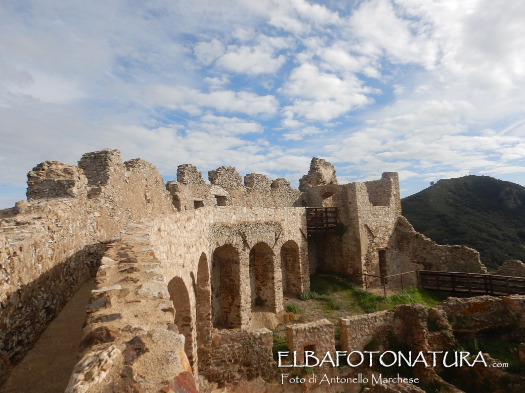 1 volterraio cortina di nord est con torre foto Marchese