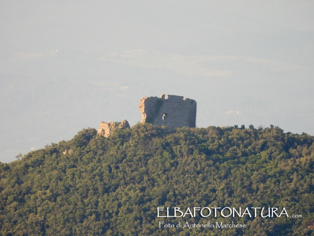 11 Torre del Giove dal Volterraio con tele foto Marchese