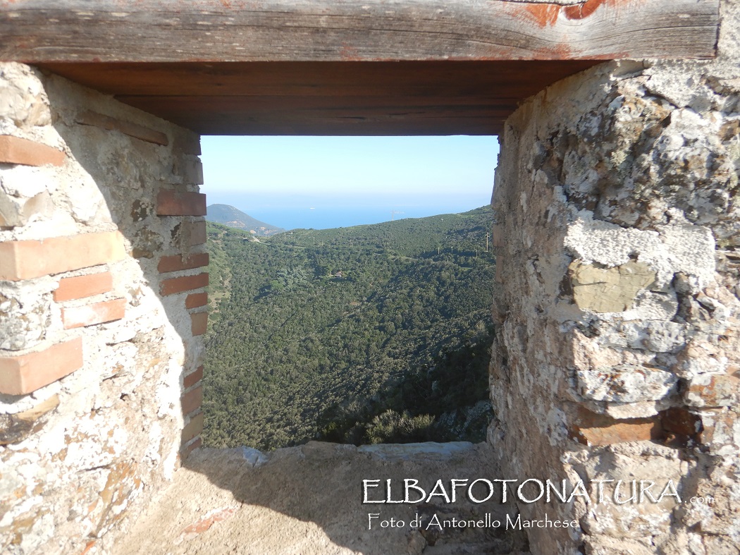 12 finestra apertura attraverso cortina foto marchese