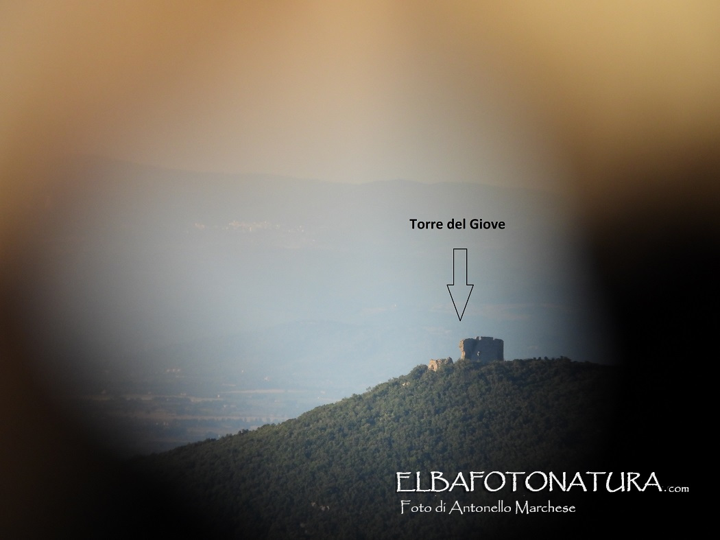 6 la Torre del Giove attraverso mirino dedicato foto Marchese
