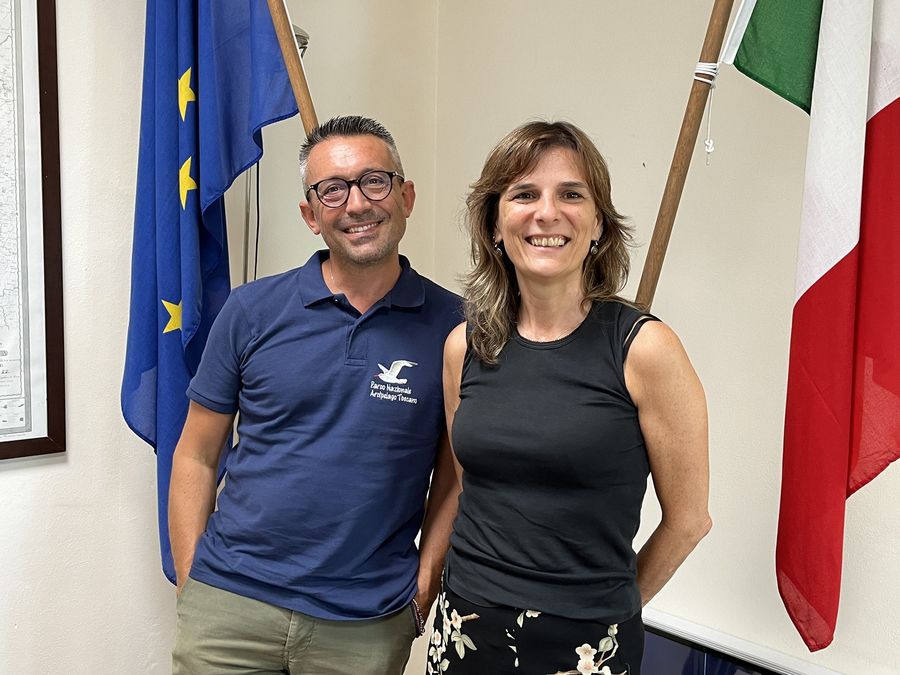Arcenni Anelli