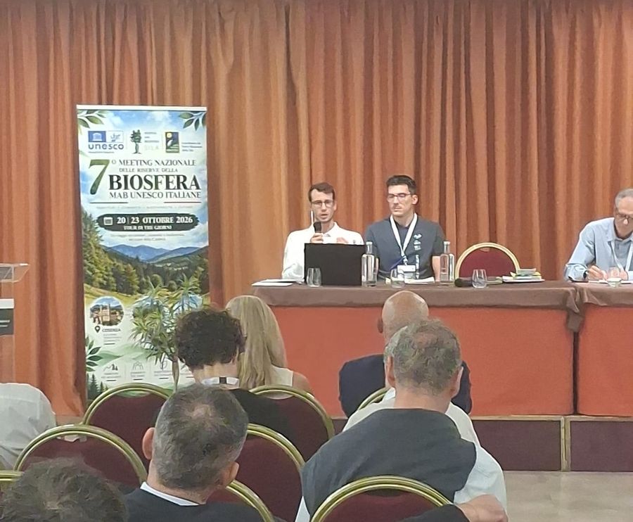 intervento Michele Galeazzi