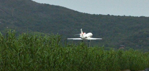 falcon mattarella gcd