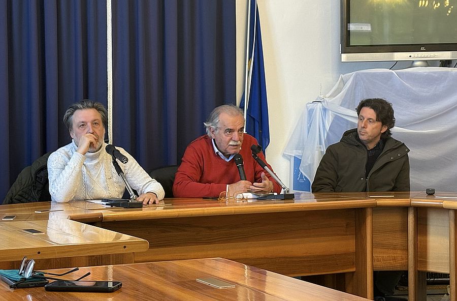 gat ass categoria  (3)