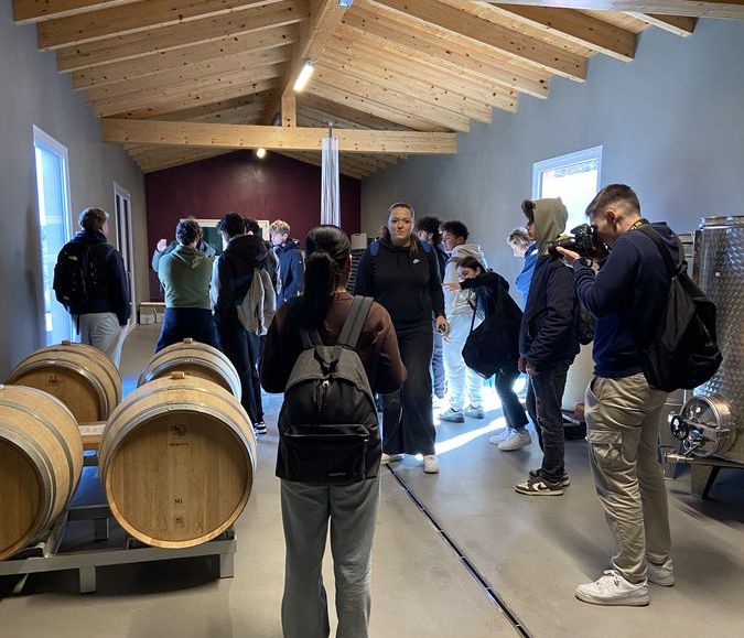 redazione natura foresi 3 bis