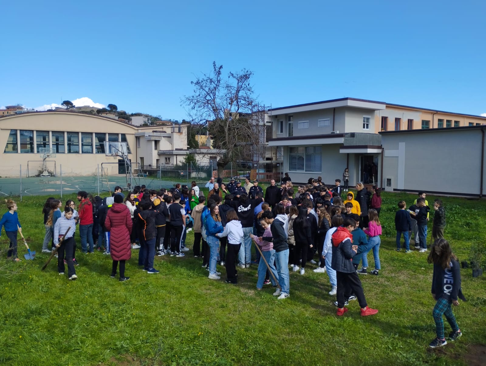 alberi per il futuro (1)