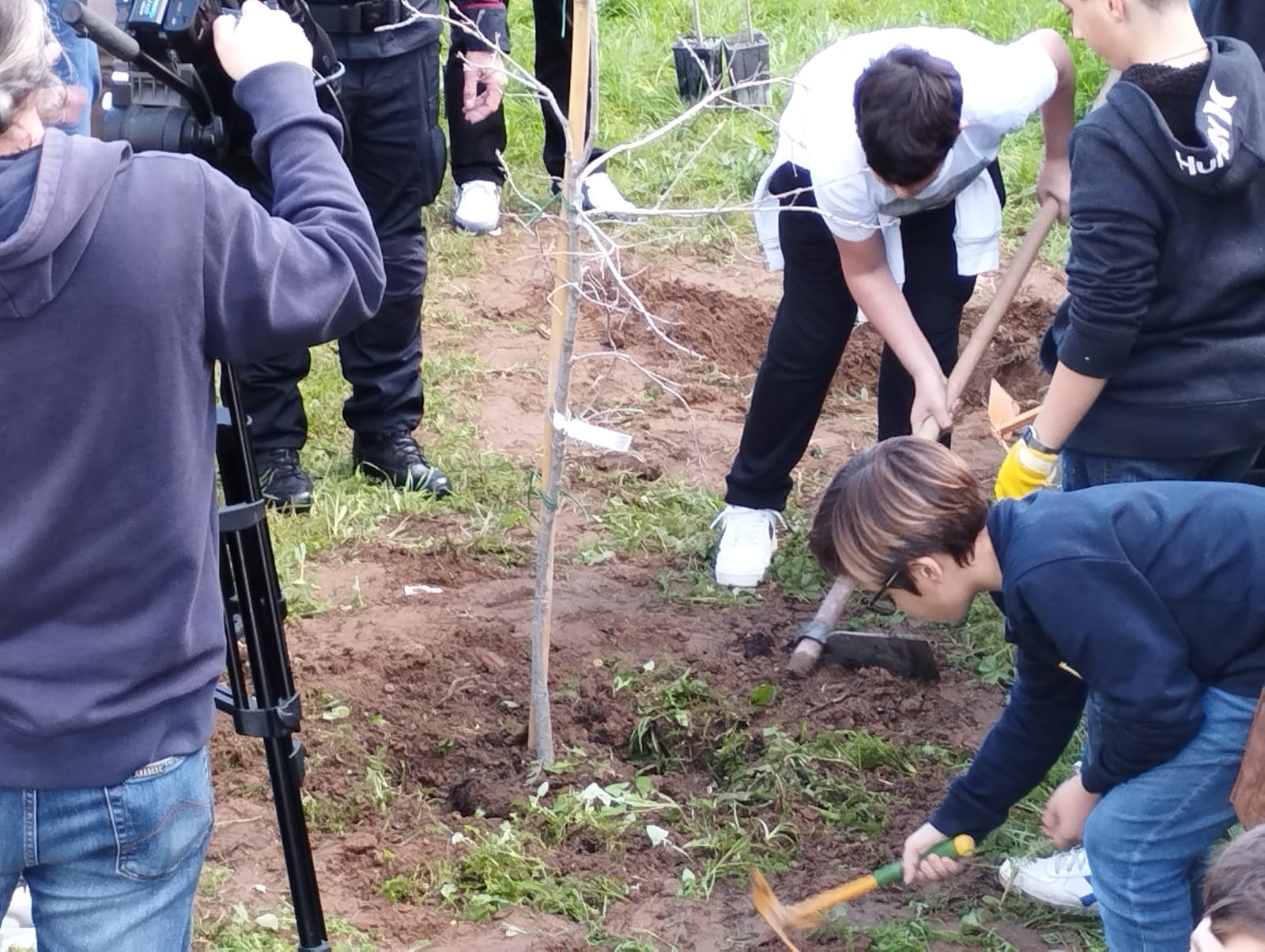 alberi per il futuro (4)