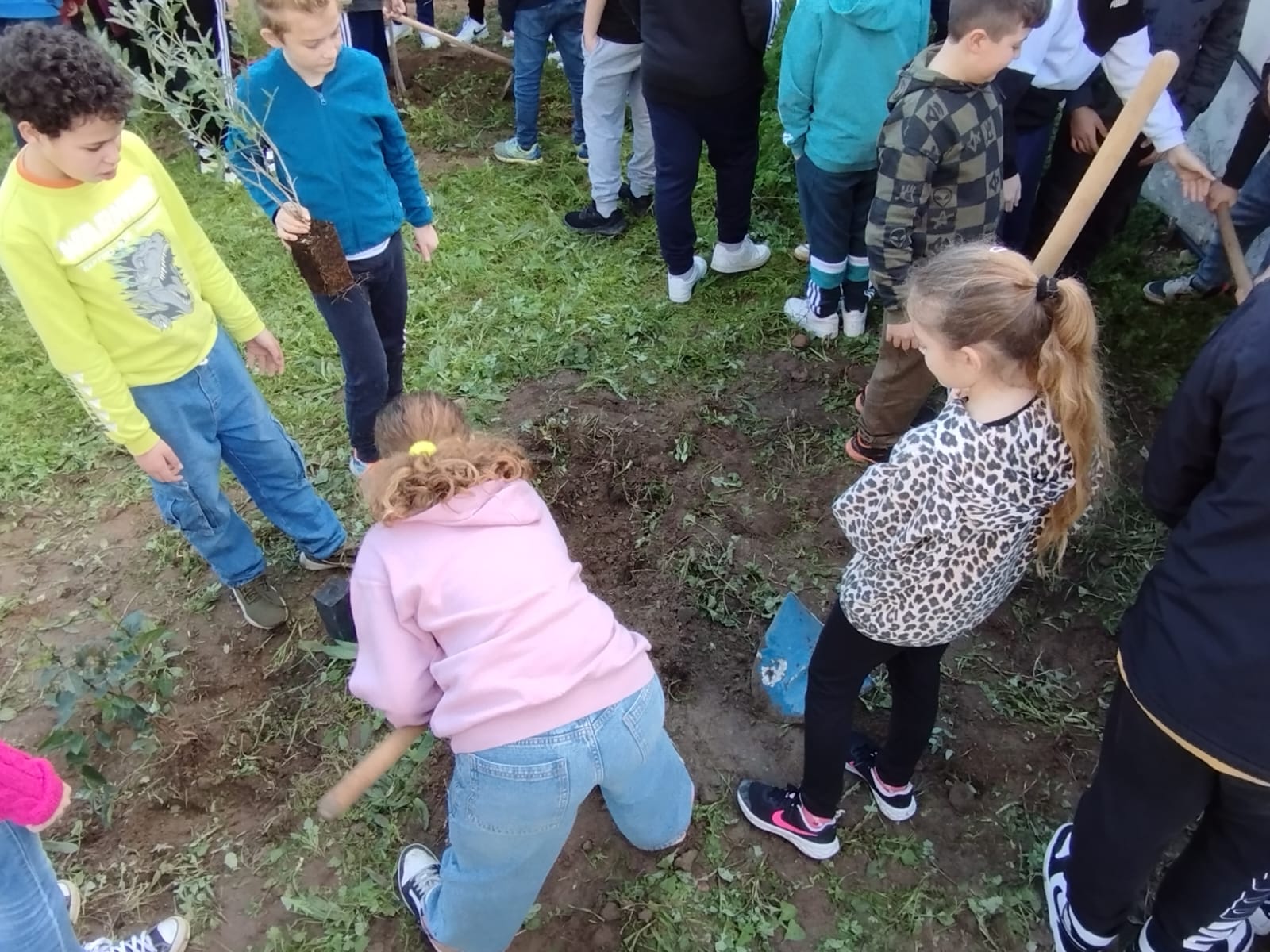 alberi per il futuro (5)