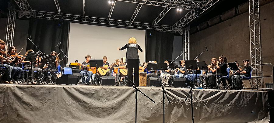 concerto fine anno musicale (3)