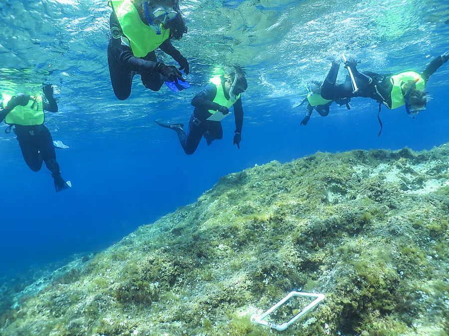corso Environmental Marine Biology & Sustainability