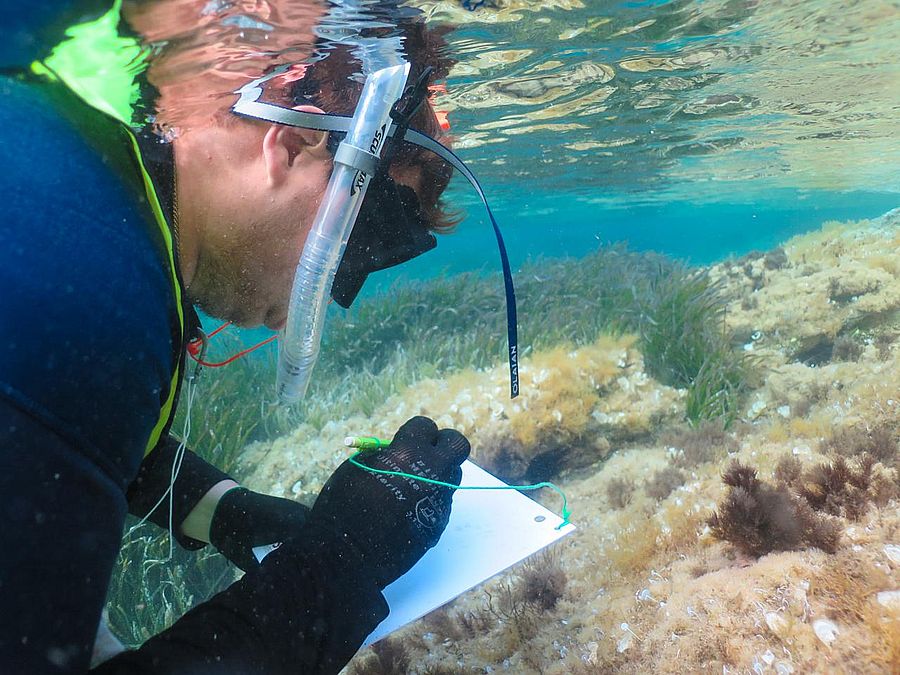 corso Environmental Marine Biology & Sustainability 2