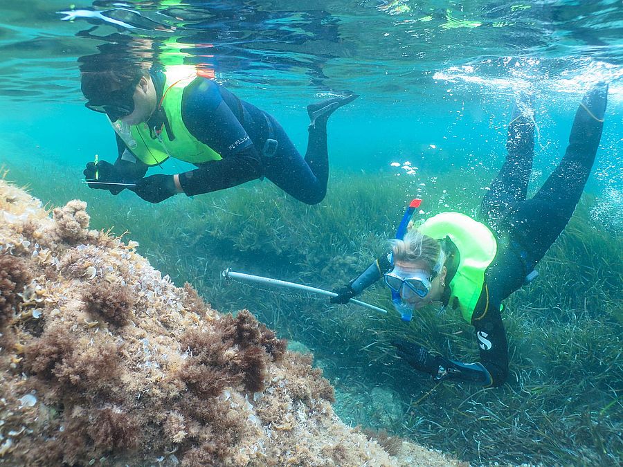 corso Environmental Marine Biology & Sustainability