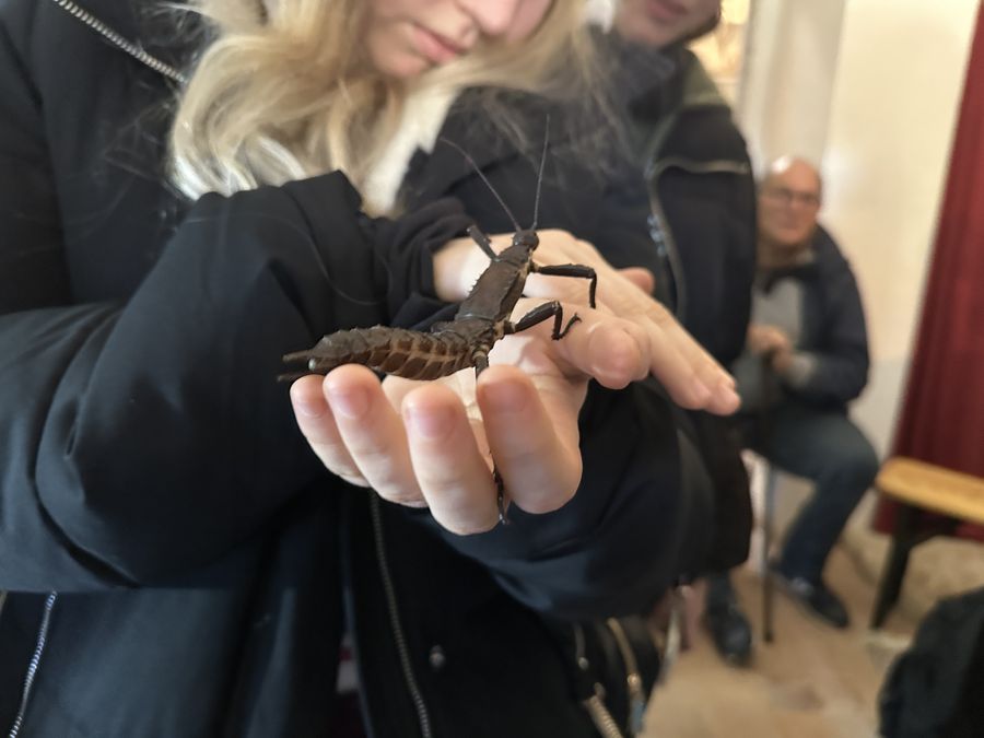 corso di agraria insetto bis