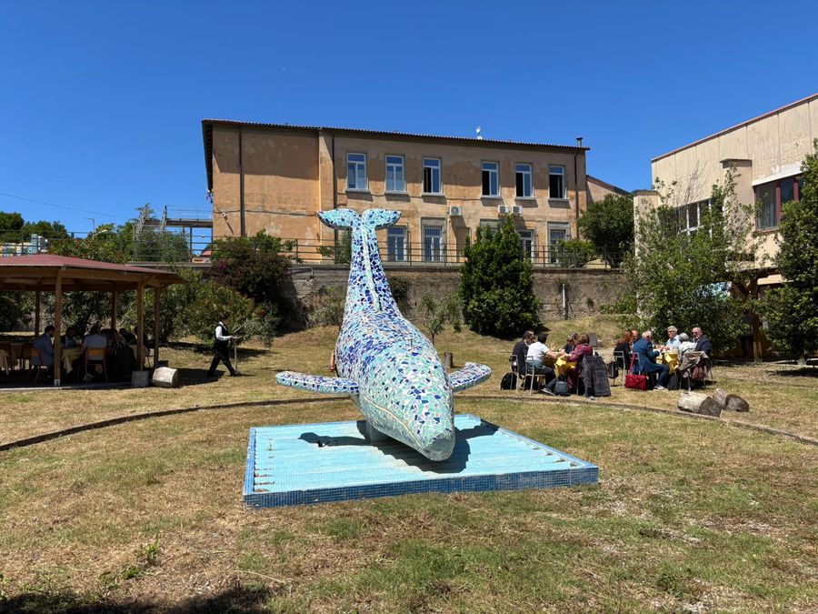 crocieristico all’Elba foresi 3