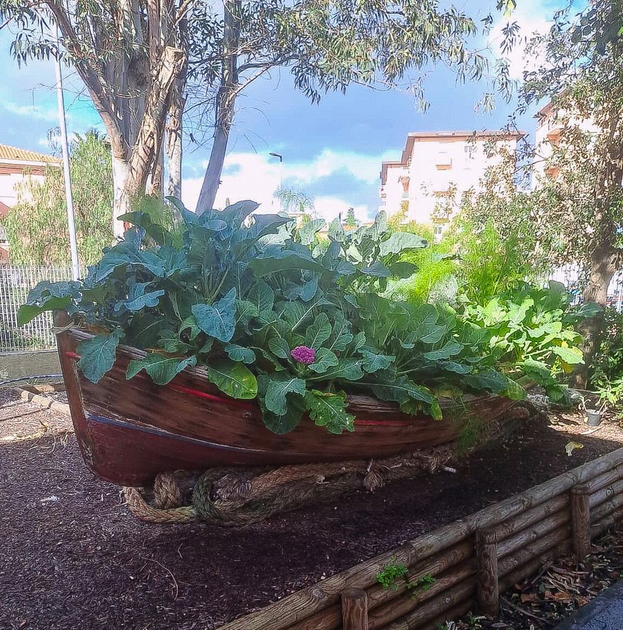 open day cerboni (4)