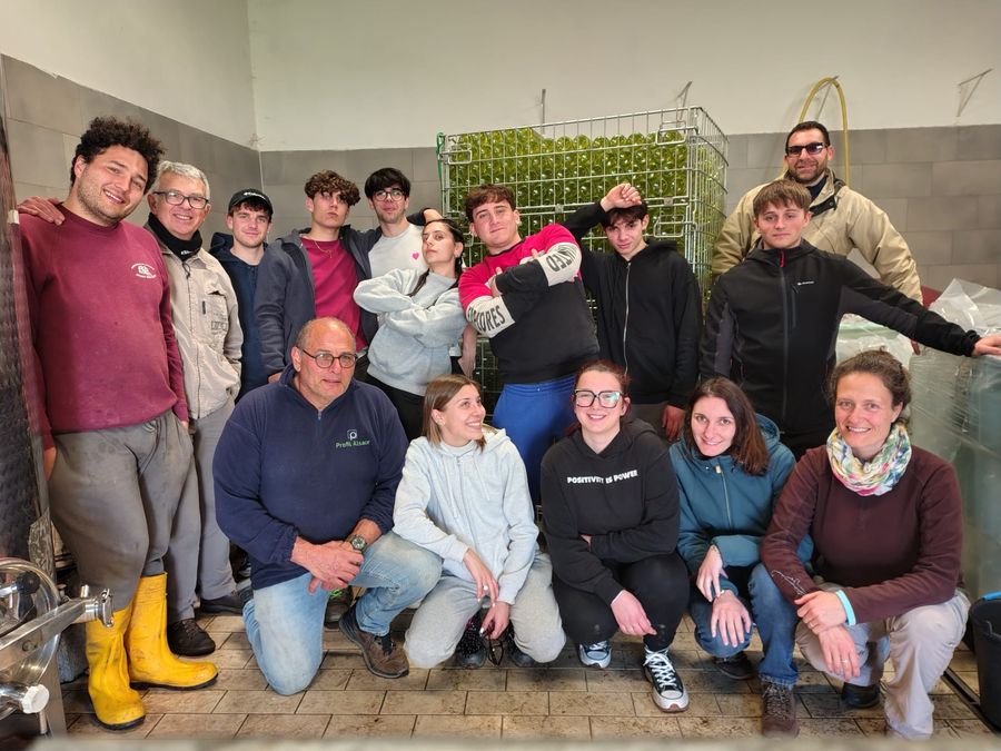 sala degustazione itcg cerboni (3)