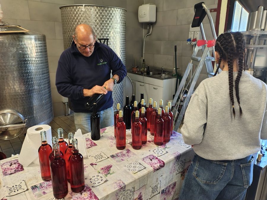 sala degustazione itcg cerboni (5)