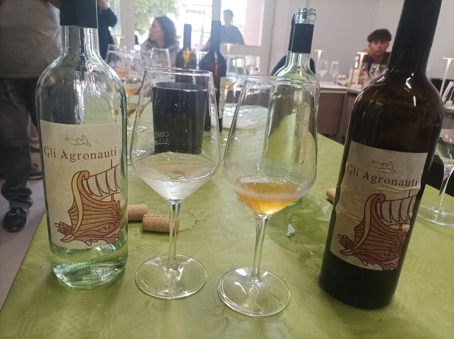 sala degustazione itcg cerboni (7)