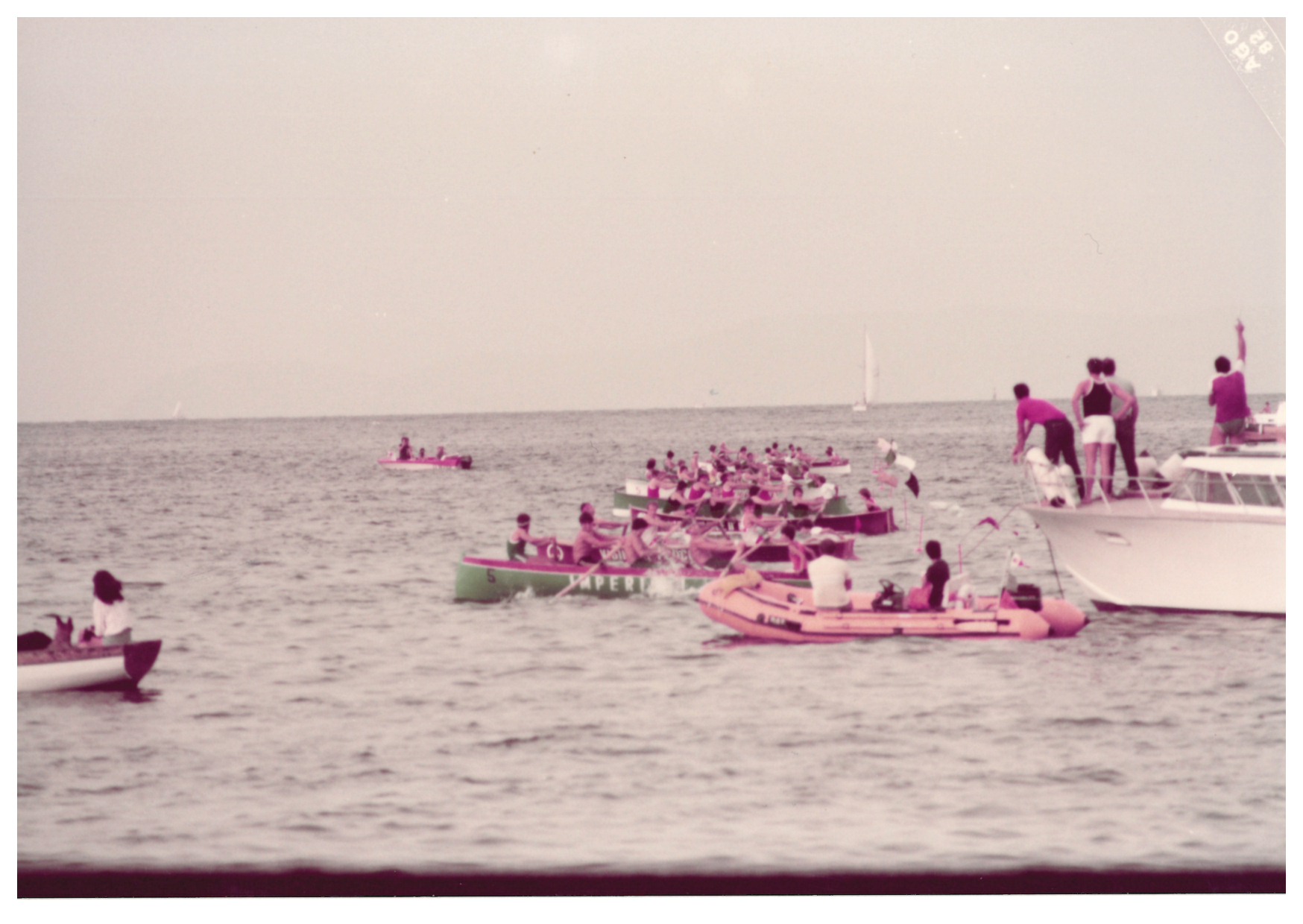 capitolo 8   foto 10   gaetano pistola4