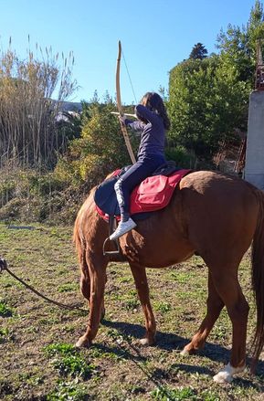 tiro a cavallo 2 bis