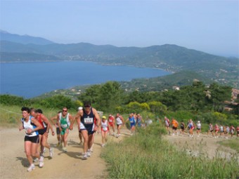 arg-153-1552-6373-img