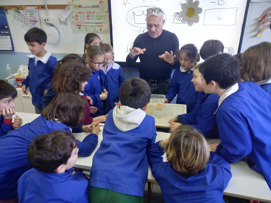 vela a scuola 2026 3