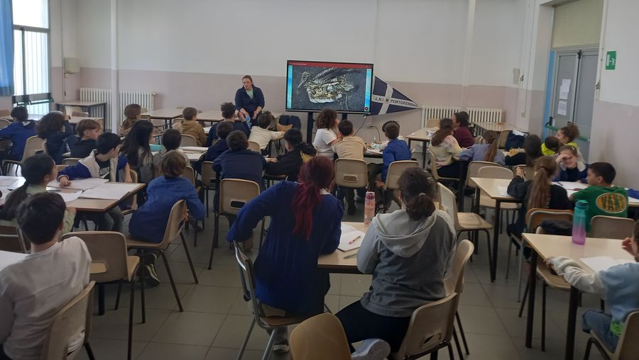 vela a scuola 2026 5