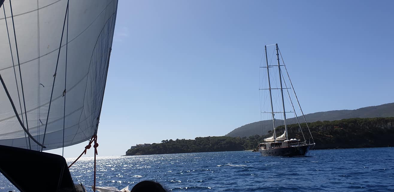 187837123 3936279136408267 7456981188899062081 n