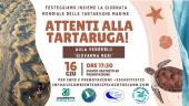 Attenti alla tartaruga!