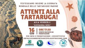 Attenti alla tartaruga!