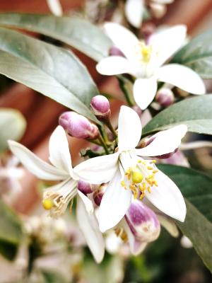 La Foto del Giorno (24 mar.)