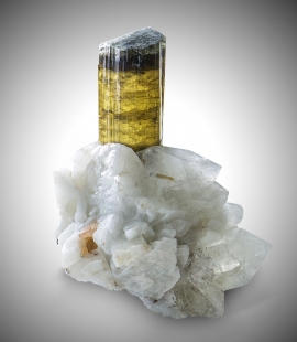 Celleriite, una nuova specie di tormalina.  La presentazione al MUM di San Piero