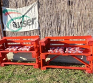 Anche l'Auser Elba celebra la Giornata Internazionale contro la violenza sulle donne