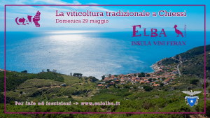 Elba Insula Vini Ferax: La viticoltura tradizionale a Chiessi