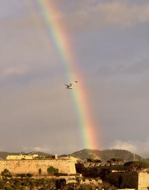 La Foto del Giorno (31 dic.)