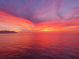 La Foto del Giorno (20 sett.)