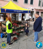 L’Azalea della Ricerca, raccolti a Portoferraio 6mila euro in favore di AIRC