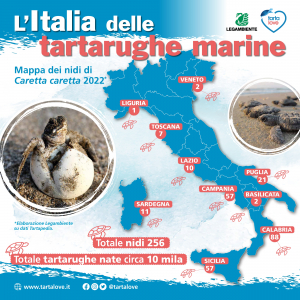 16 Giugno - Giornata Mondiale delle tartarughe marine. Riparte la campagna Tartawatchers di Legambiente