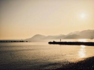 La Foto del Giorno (25 giu.)