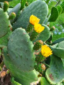 La Foto del Giorno (27 mag.)