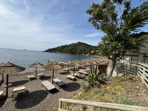 Vivibilità di Bagnaia: un esercente che si sente oggetto delle critiche espone le sue ragioni