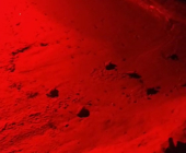 Nate a Galenzana 54 tartarughine