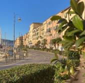 L'assolata Darsena Medicea e la Calata, dove è urgente ripiantare alberi