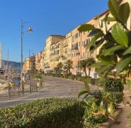 L'assolata Darsena Medicea e la Calata, dove è urgente ripiantare alberi