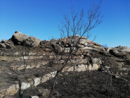 Dalle rovine dell'incendio riemergono antiche testimonianze dai nostri antenati