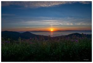 La Foto del Giorno (10 mag.)
