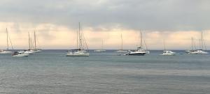 La Foto del Giorno (25 lug.)